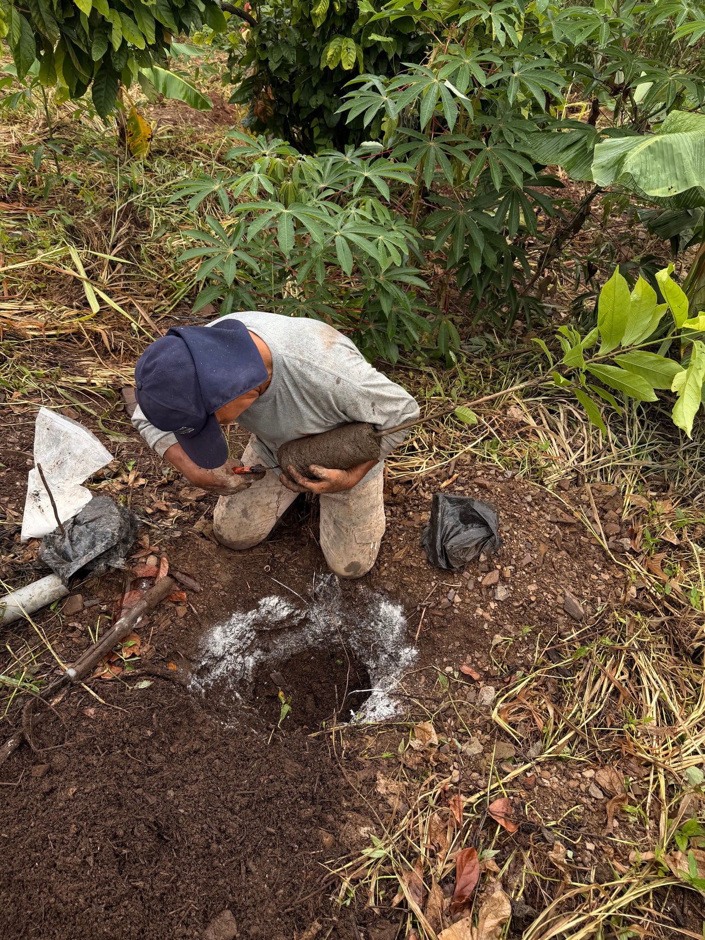 Photo: a farming family tending their Chuncho cacao trees