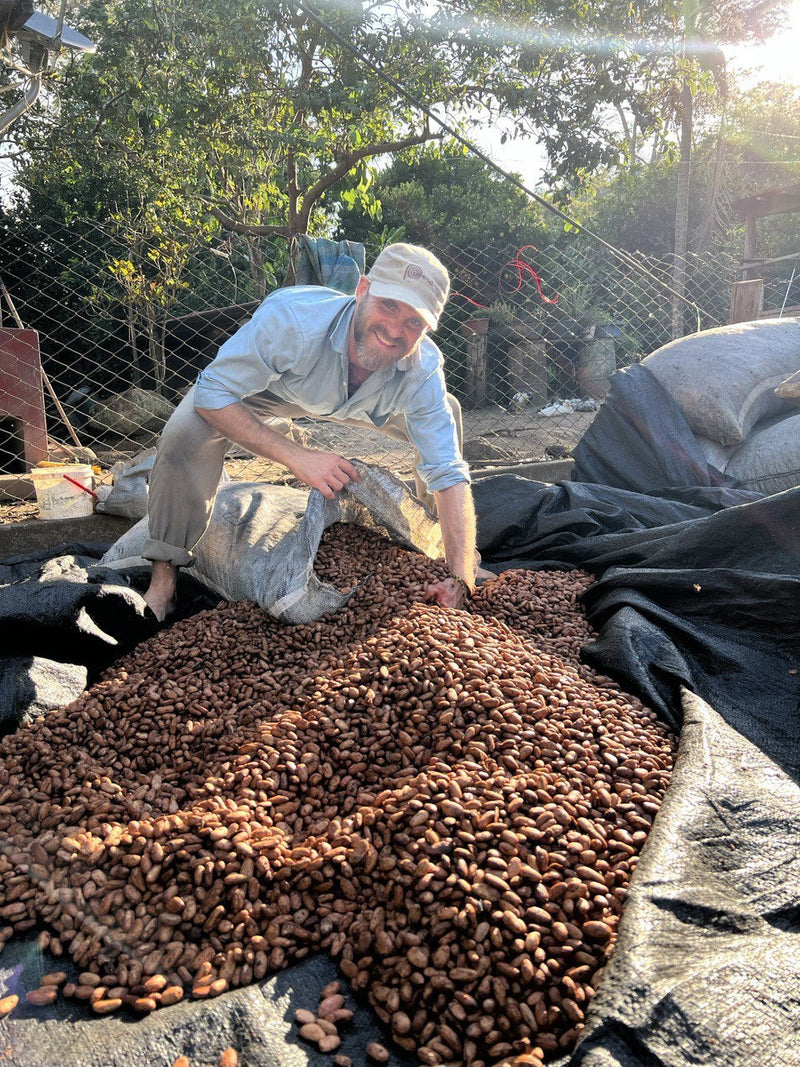 Wild Harvested Cacao and Direct Trade