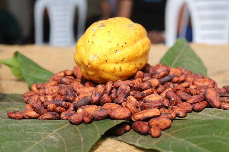 Cacao Cadmium Levels and Lead: How to Read Results