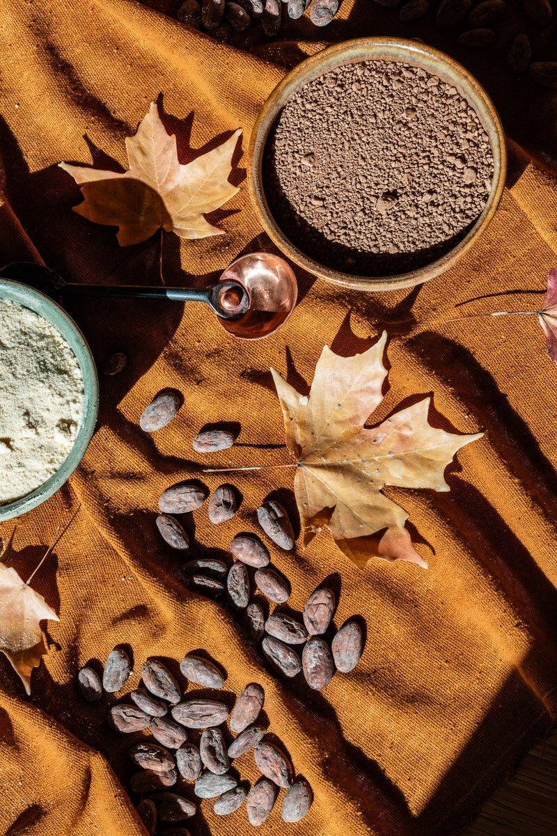 Cacao Ritual: A Daily Practice for Presence