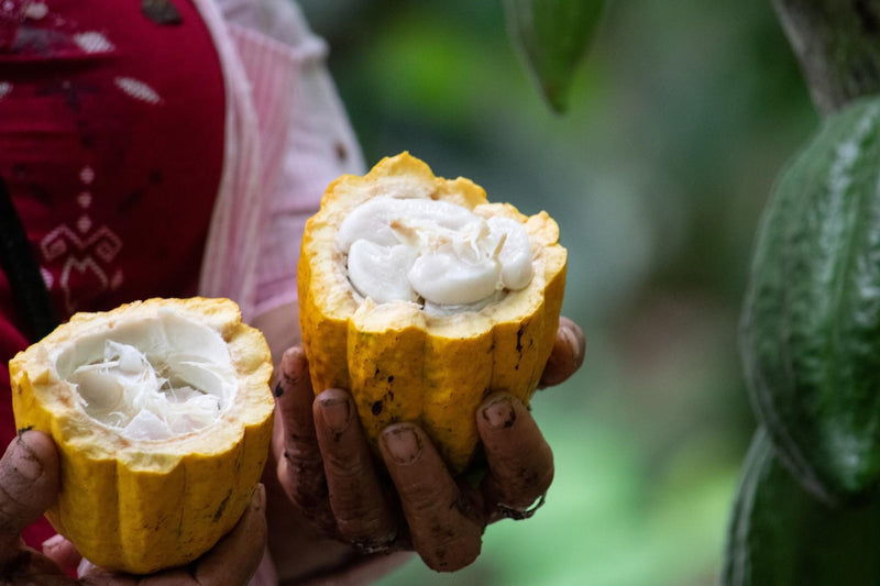 Ceremony starts at the farm